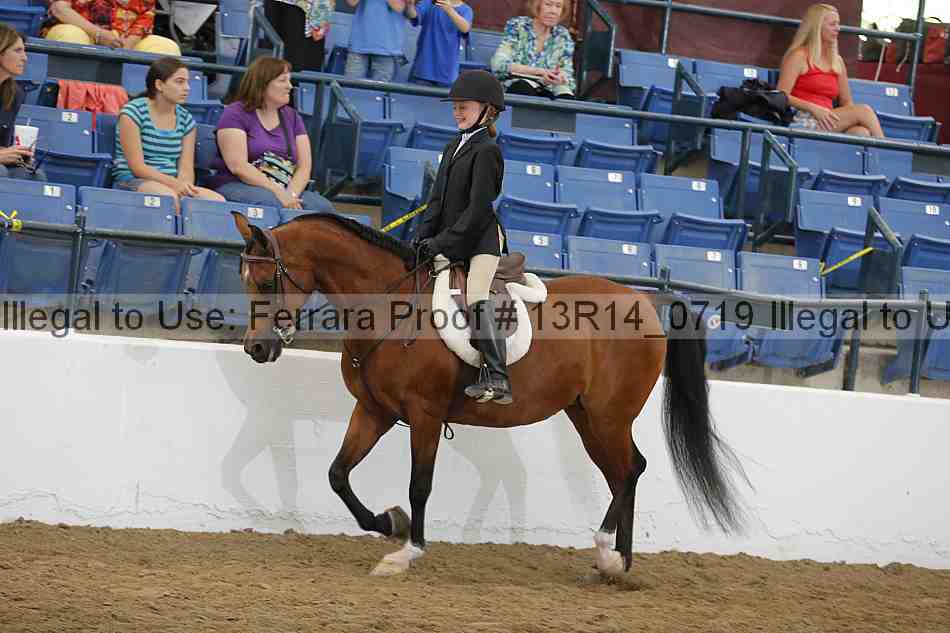 Proof Number 13r14_0719