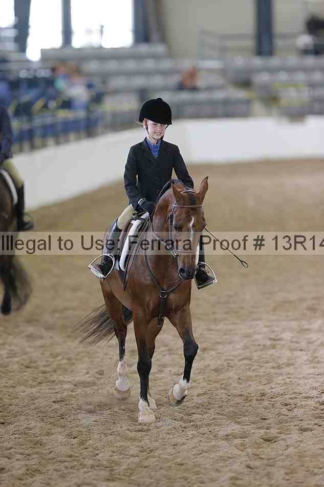 Proof Number 13r14_0728