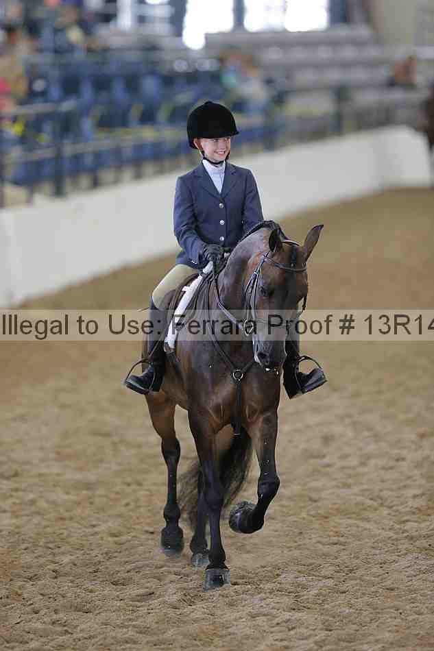 Proof Number 13r14_0730