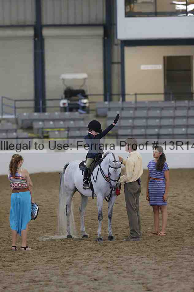 Proof Number 13r14_0736