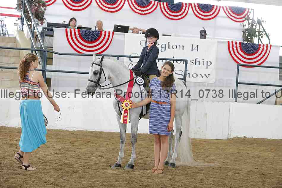 Proof Number 13r14_0738