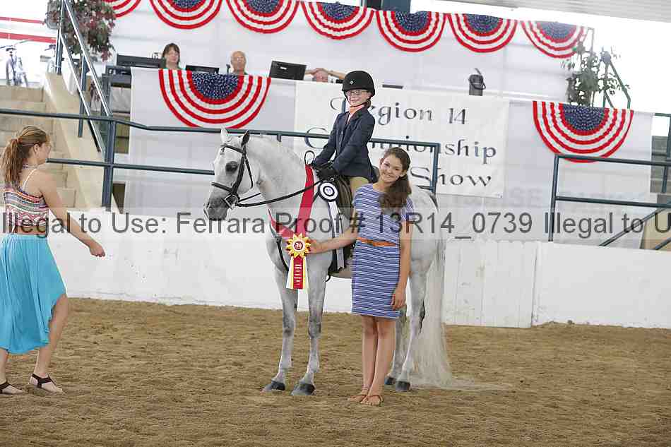 Proof Number 13r14_0739