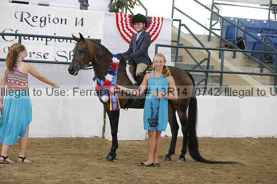 Proof Number 13r14_0742
