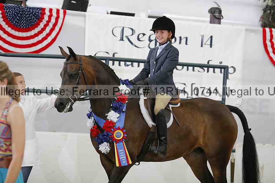 Proof Number 13r14_0744