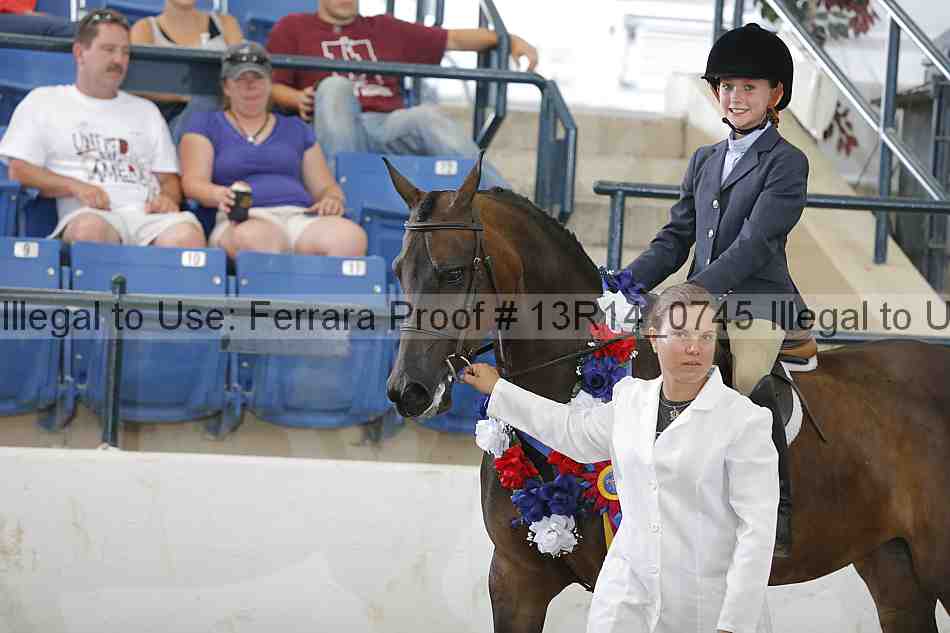Proof Number 13r14_0745