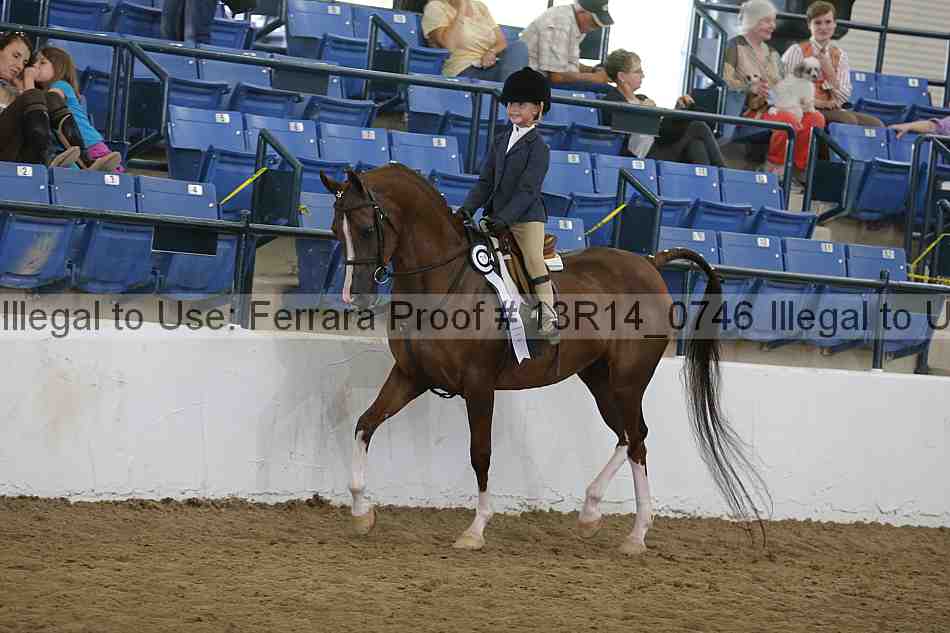 Proof Number 13r14_0746