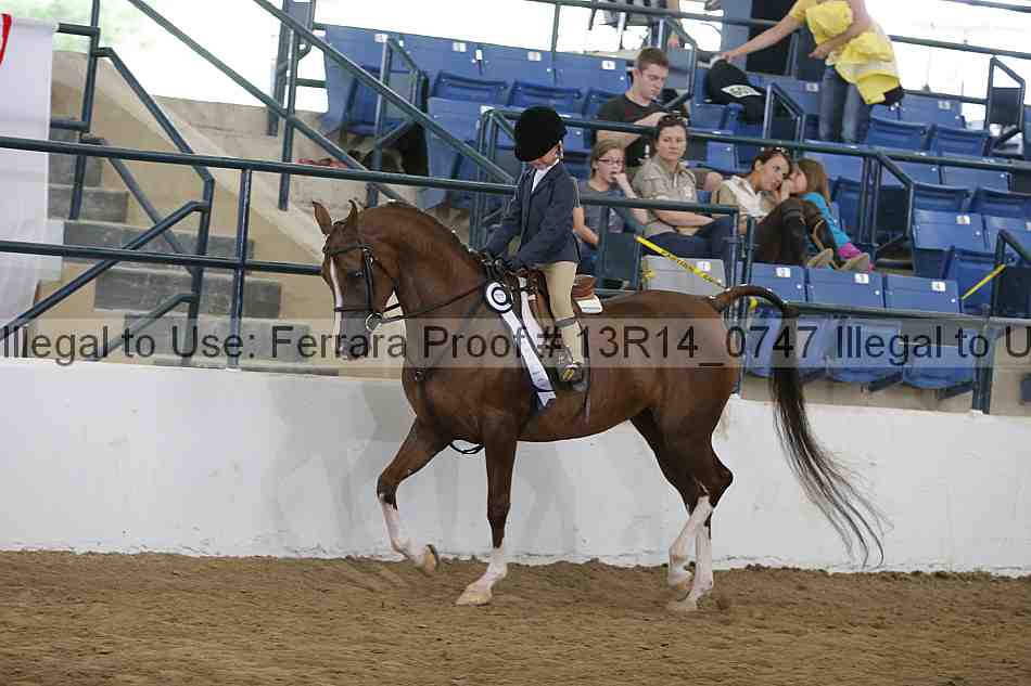 Proof Number 13r14_0747