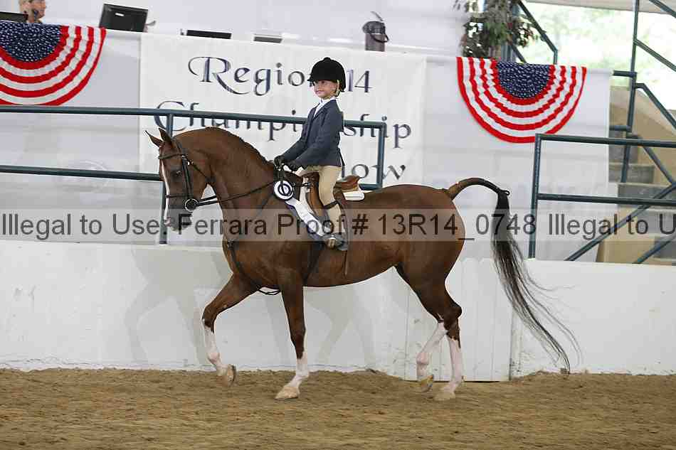 Proof Number 13r14_0748