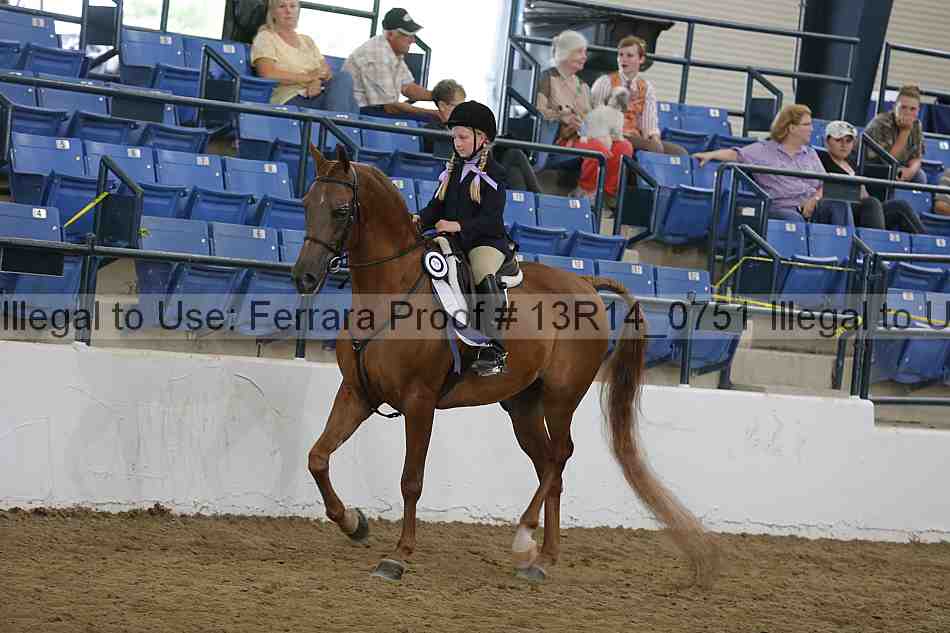 Proof Number 13r14_0751