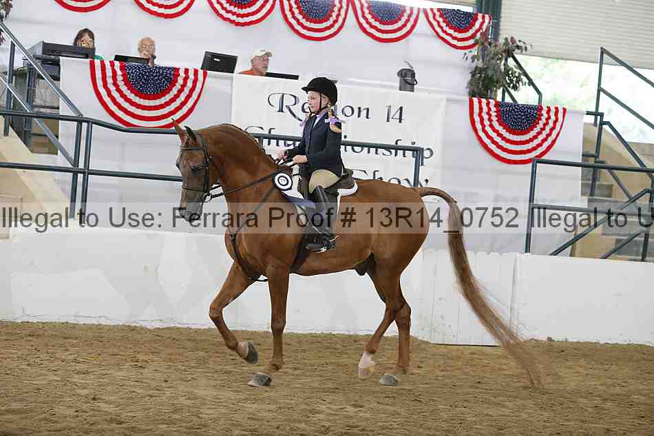 Proof Number 13r14_0752