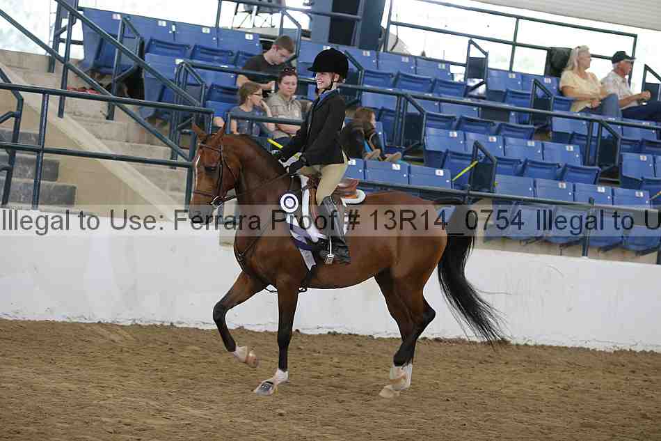 Proof Number 13r14_0754