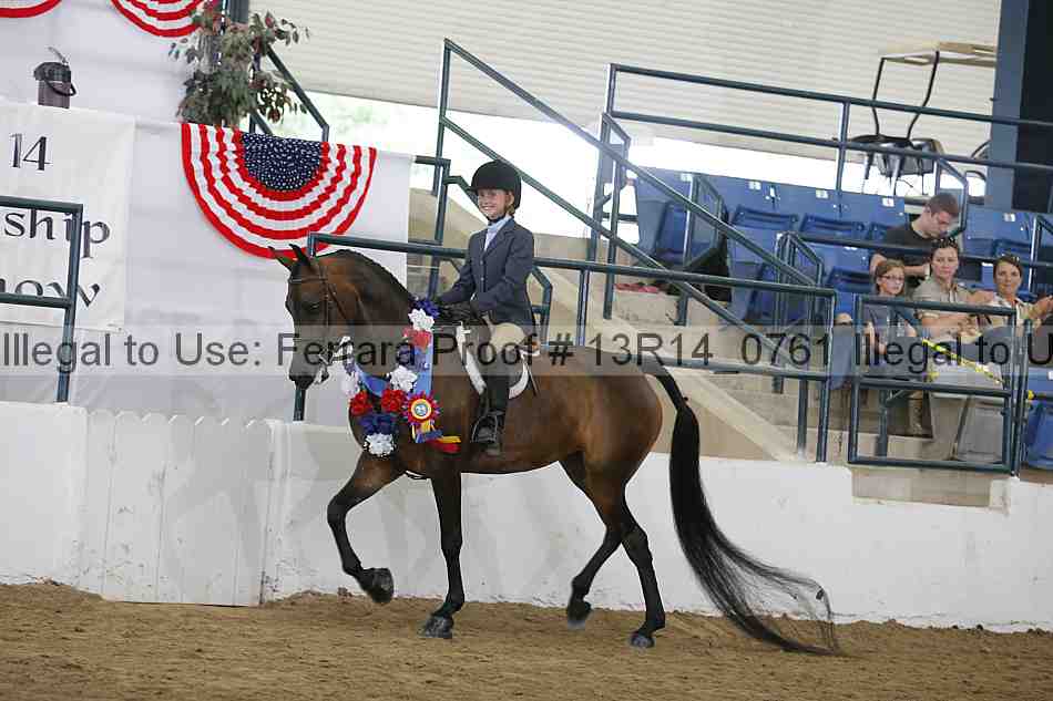Proof Number 13r14_0761
