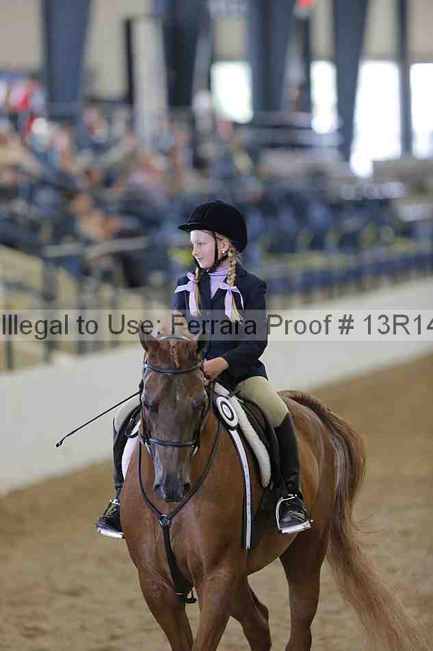 Proof Number 13r14_0762