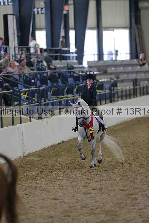 Proof Number 13r14_0763