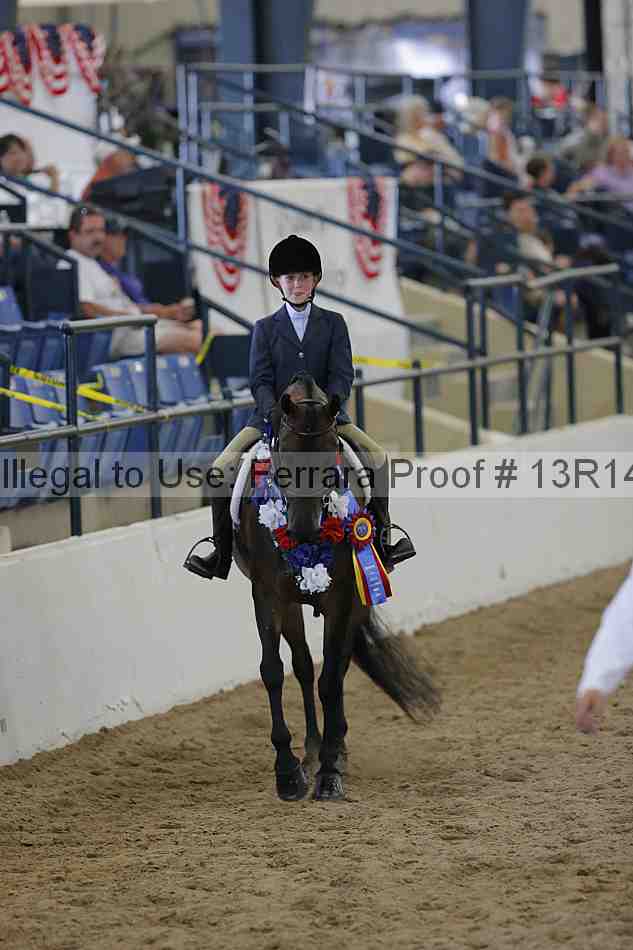 Proof Number 13r14_0767
