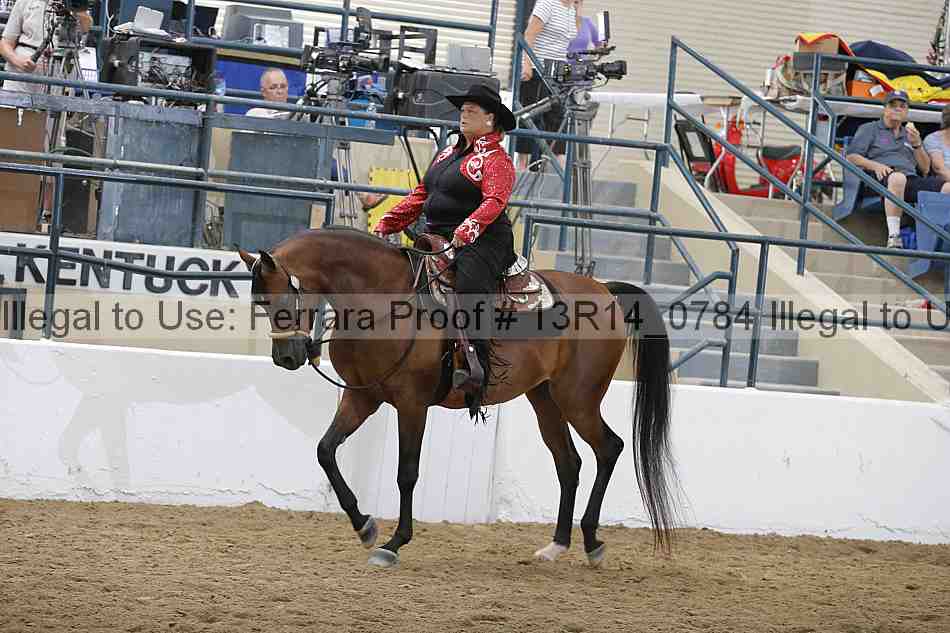 Proof Number 13r14_0784