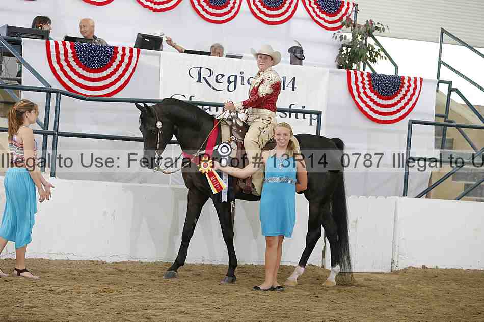 Proof Number 13r14_0787