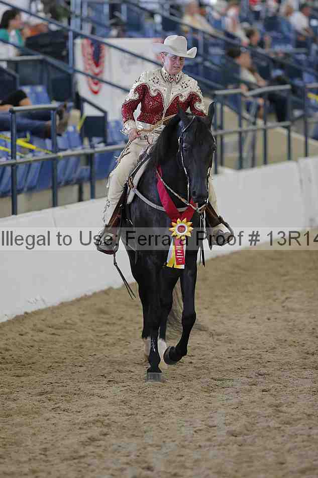 Proof Number 13r14_0788