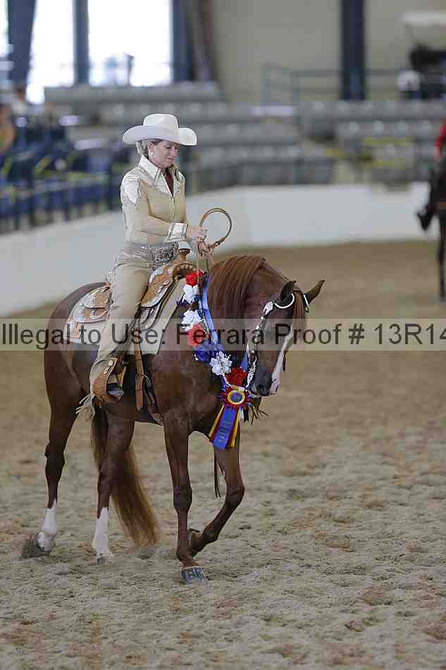Proof Number 13r14_0793