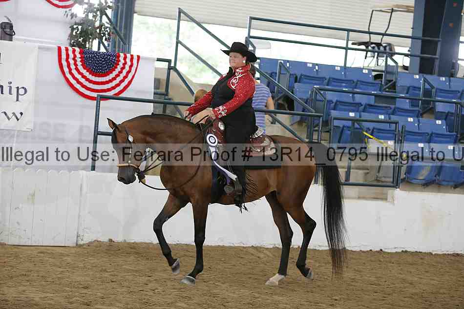 Proof Number 13r14_0795