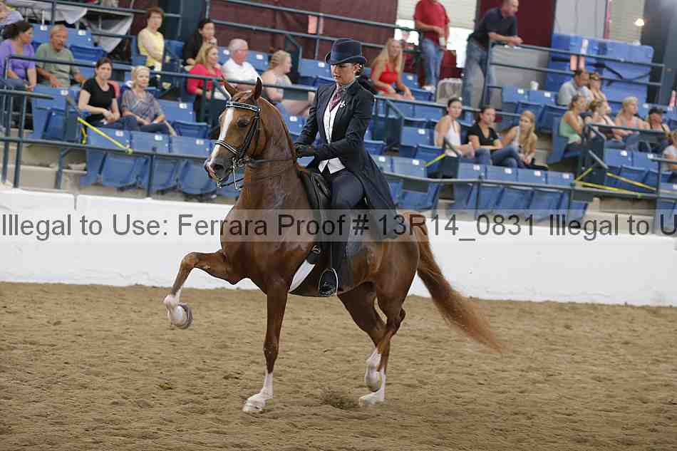 Proof Number 13r14_0831