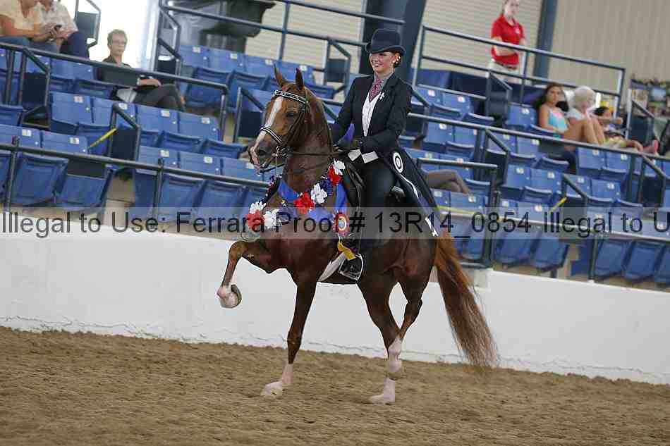 Proof Number 13r14_0854