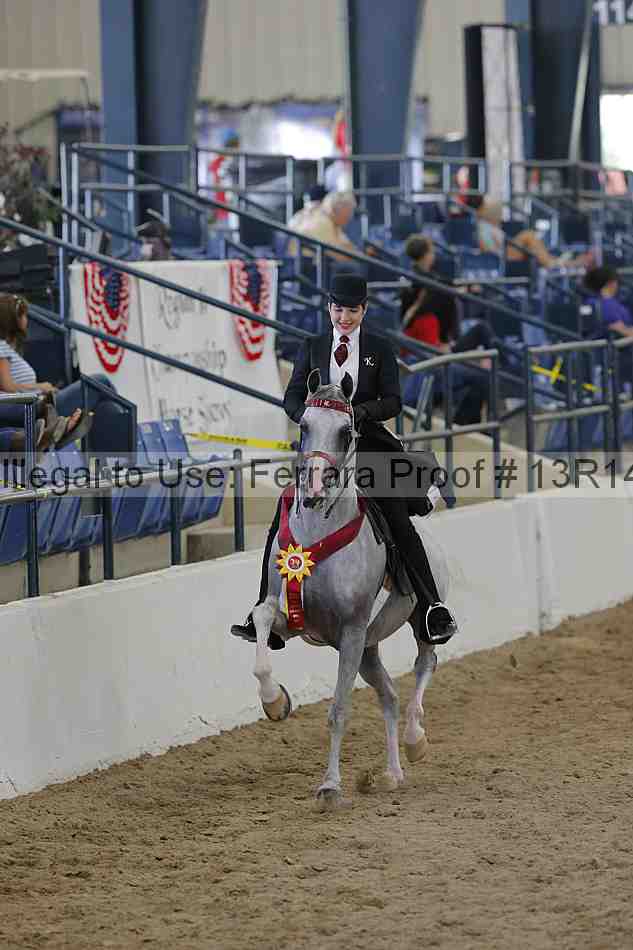 Proof Number 13r14_0857