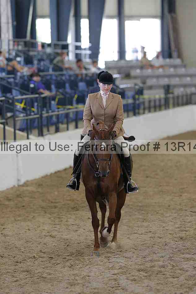 Proof Number 13r14_0887
