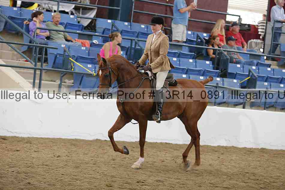 Proof Number 13r14_0891