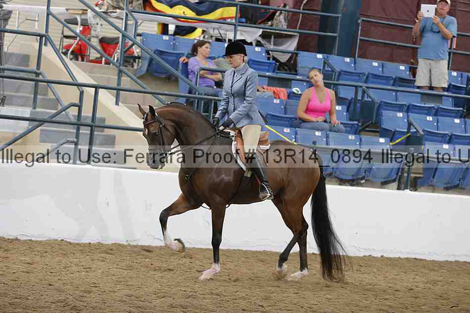 Proof Number 13r14_0894