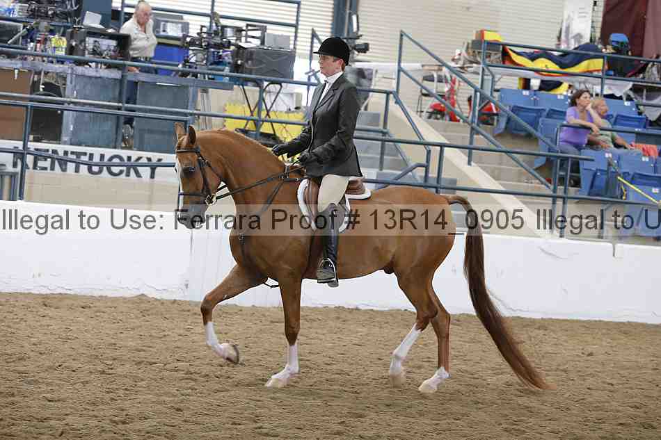 Proof Number 13r14_0905