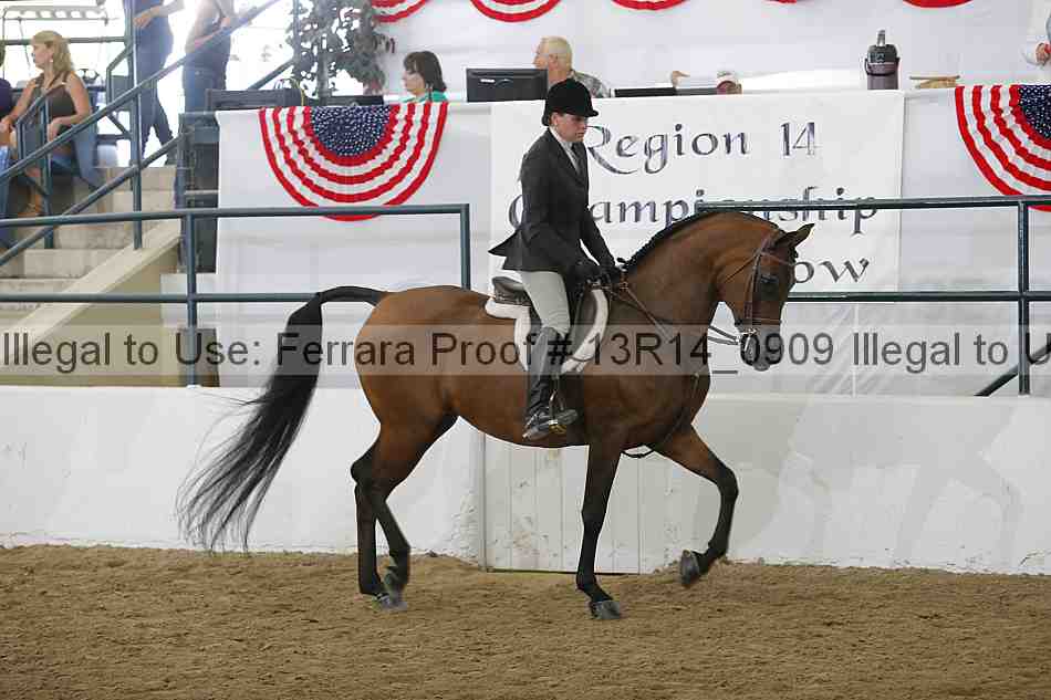 Proof Number 13r14_0909