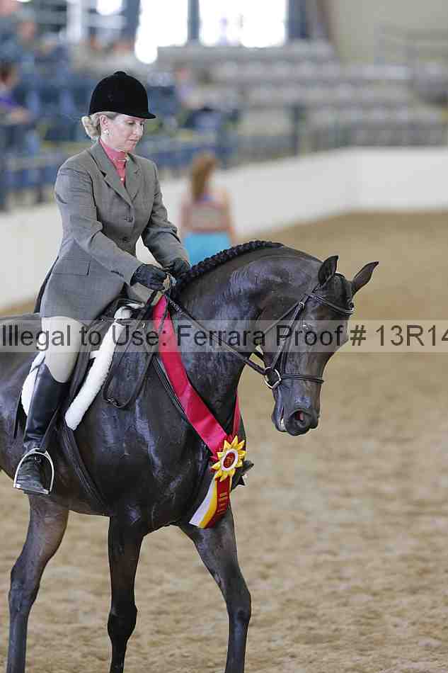 Proof Number 13r14_0917