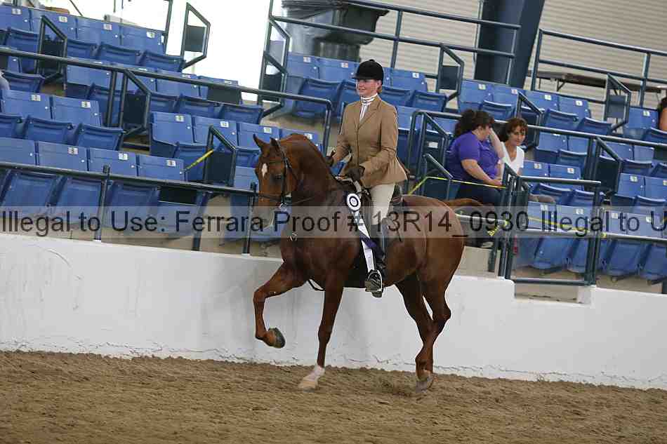 Proof Number 13r14_0930