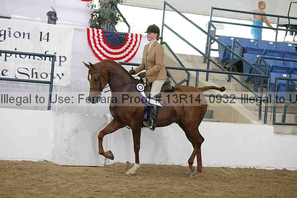Proof Number 13r14_0932