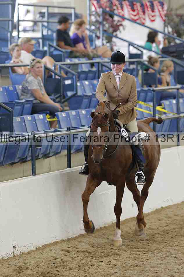 Proof Number 13r14_0936
