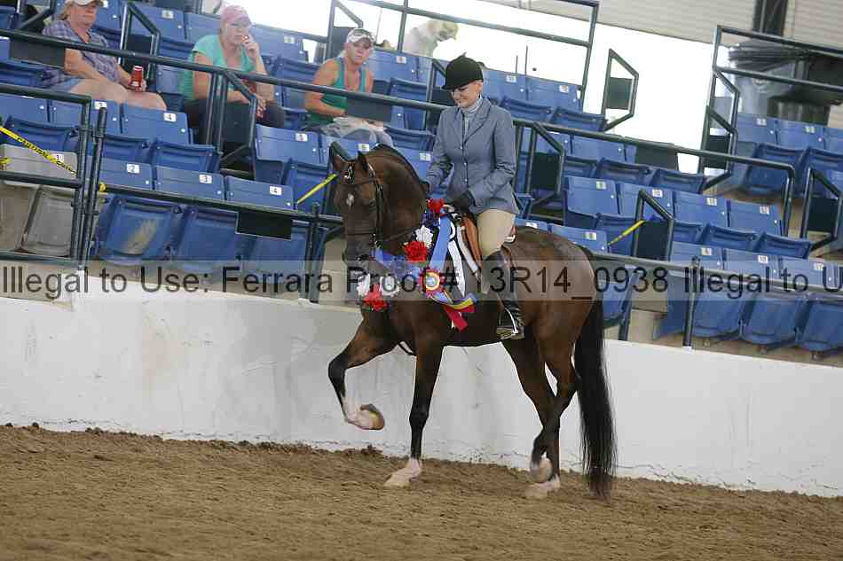 Proof Number 13r14_0938