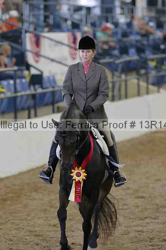 Proof Number 13r14_0942