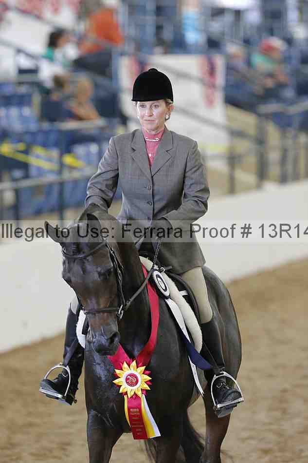Proof Number 13r14_0943