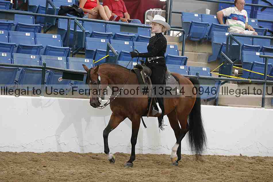 Proof Number 13r14_0946