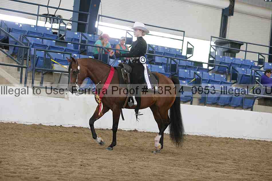 Proof Number 13r14_0953