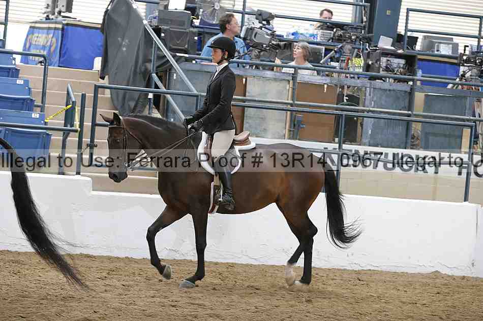 Proof Number 13r14_0967
