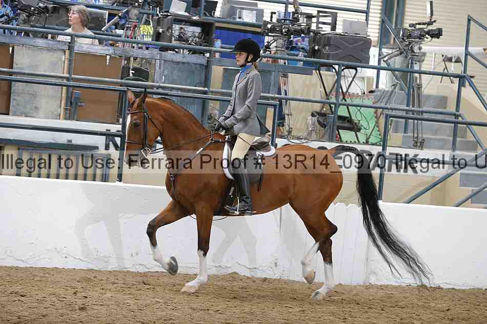 Proof Number 13r14_0970