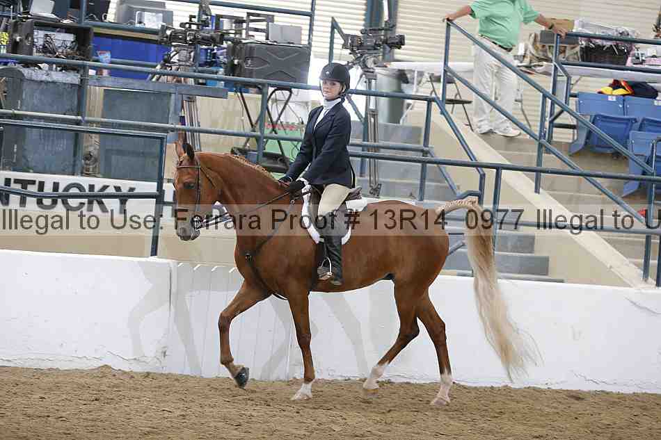 Proof Number 13r14_0977