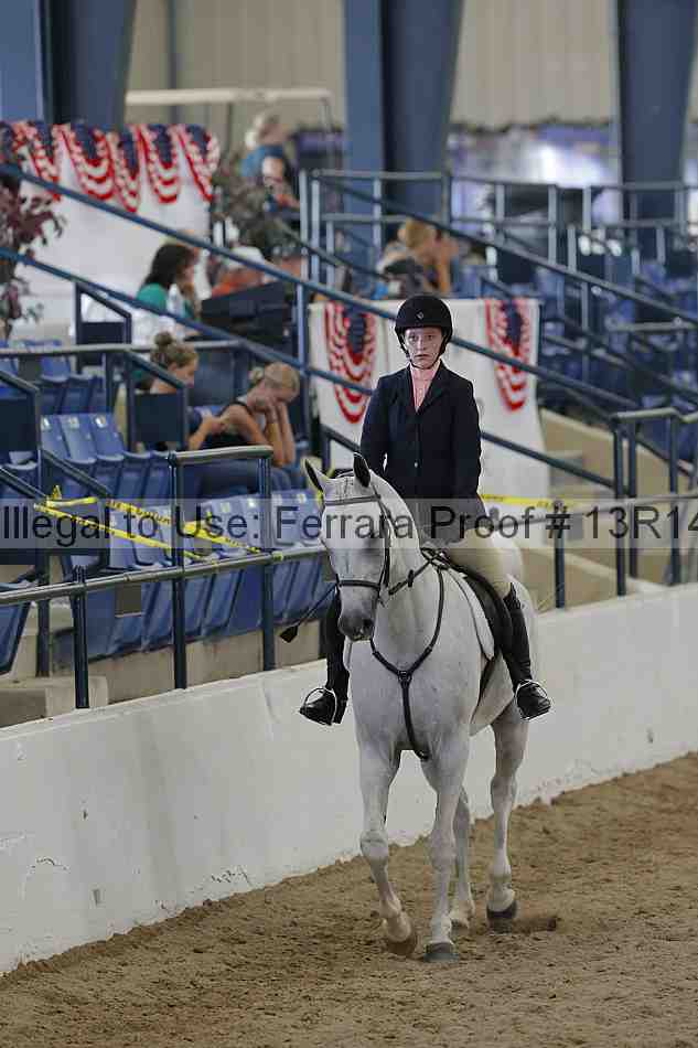 Proof Number 13r14_0981