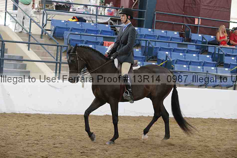 Proof Number 13r14_0987