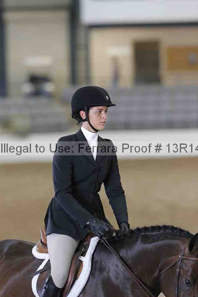 Proof Number 13r14_0993
