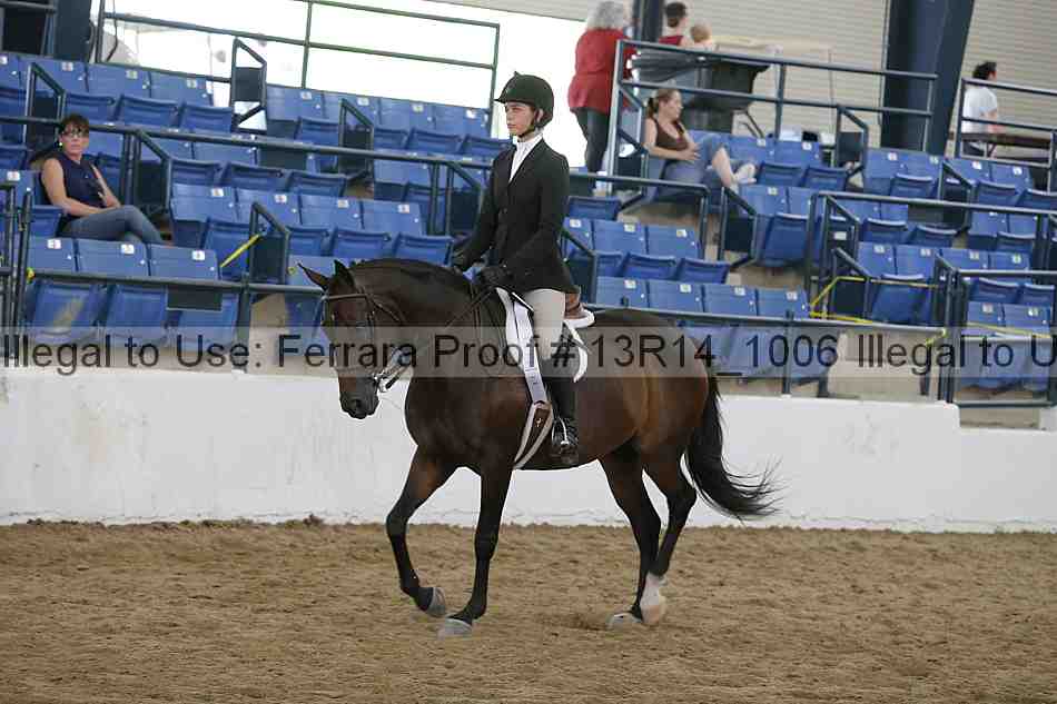Proof Number 13r14_1006