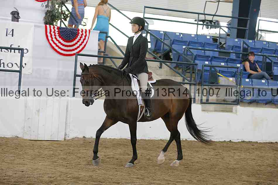 Proof Number 13r14_1007