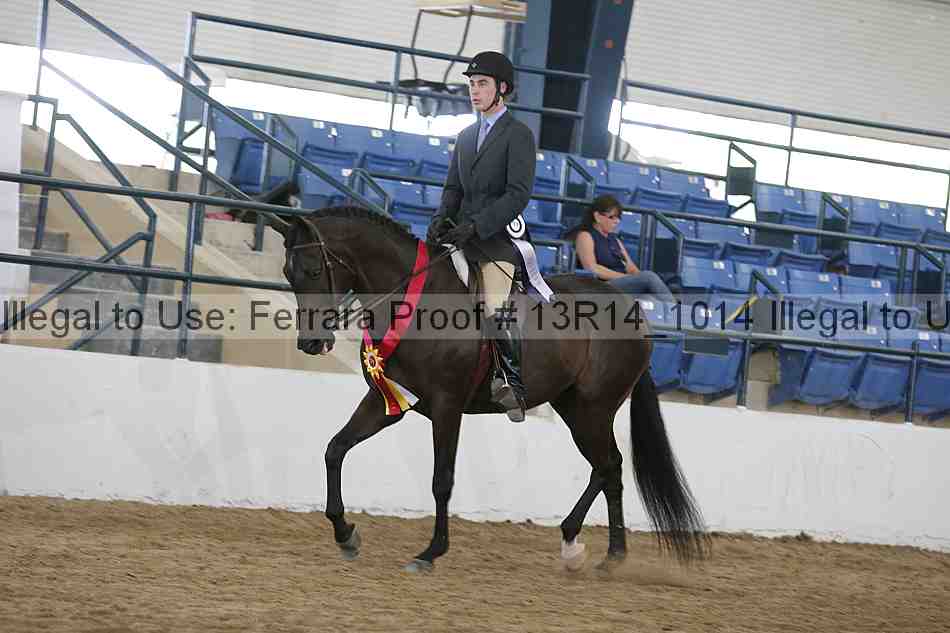 Proof Number 13r14_1014